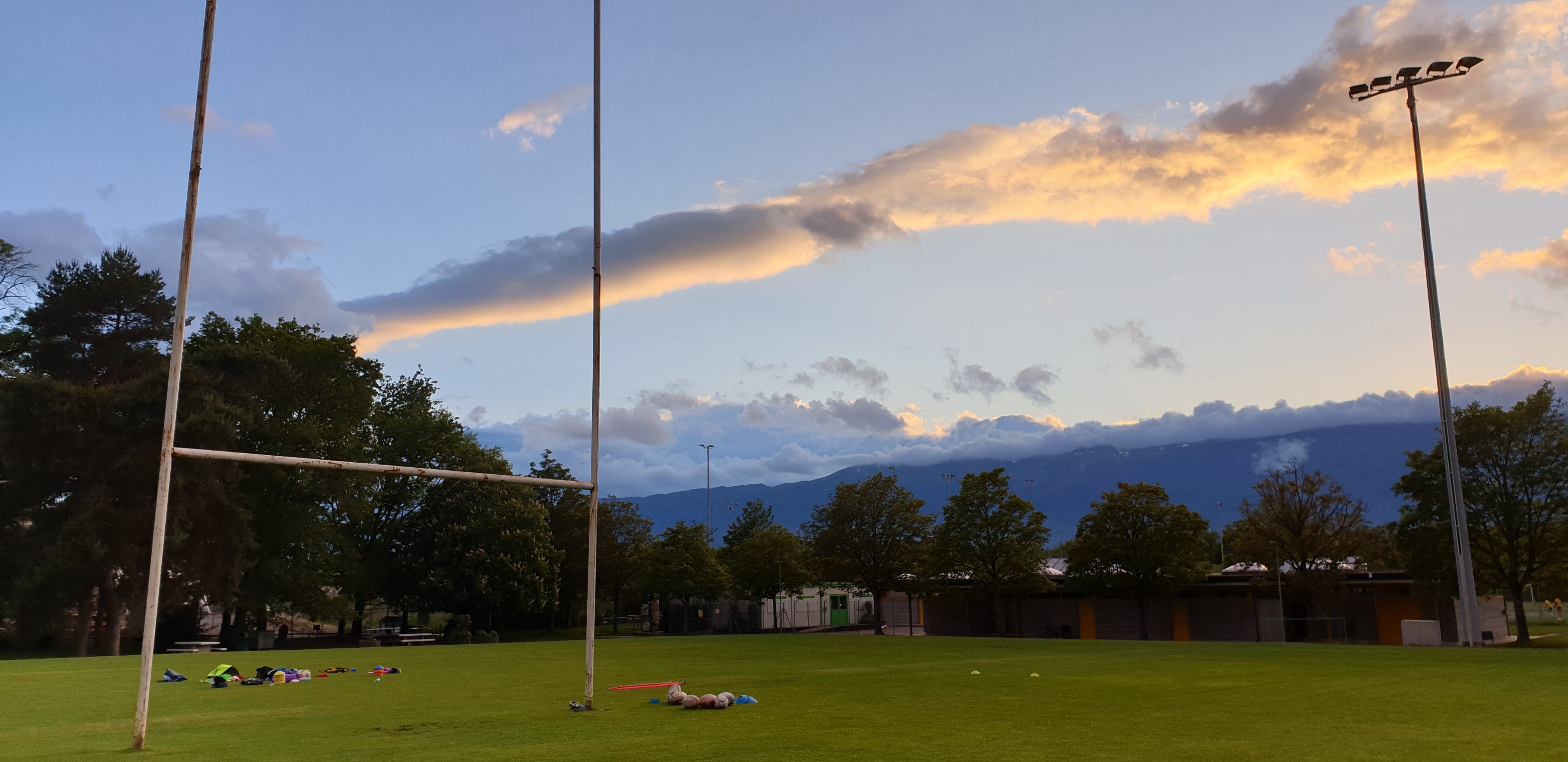field